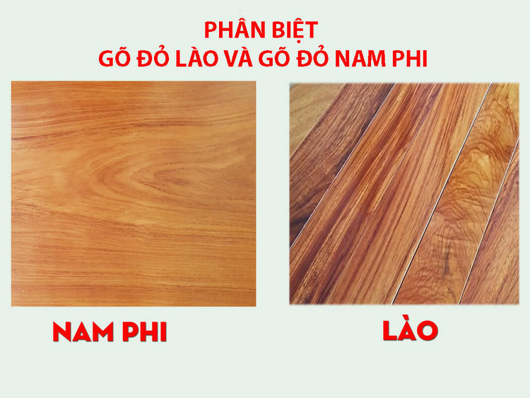 Gỗ tự nhiên: 10 loại gỗ tự nhiên thông dụng trong thiết kế nội thất