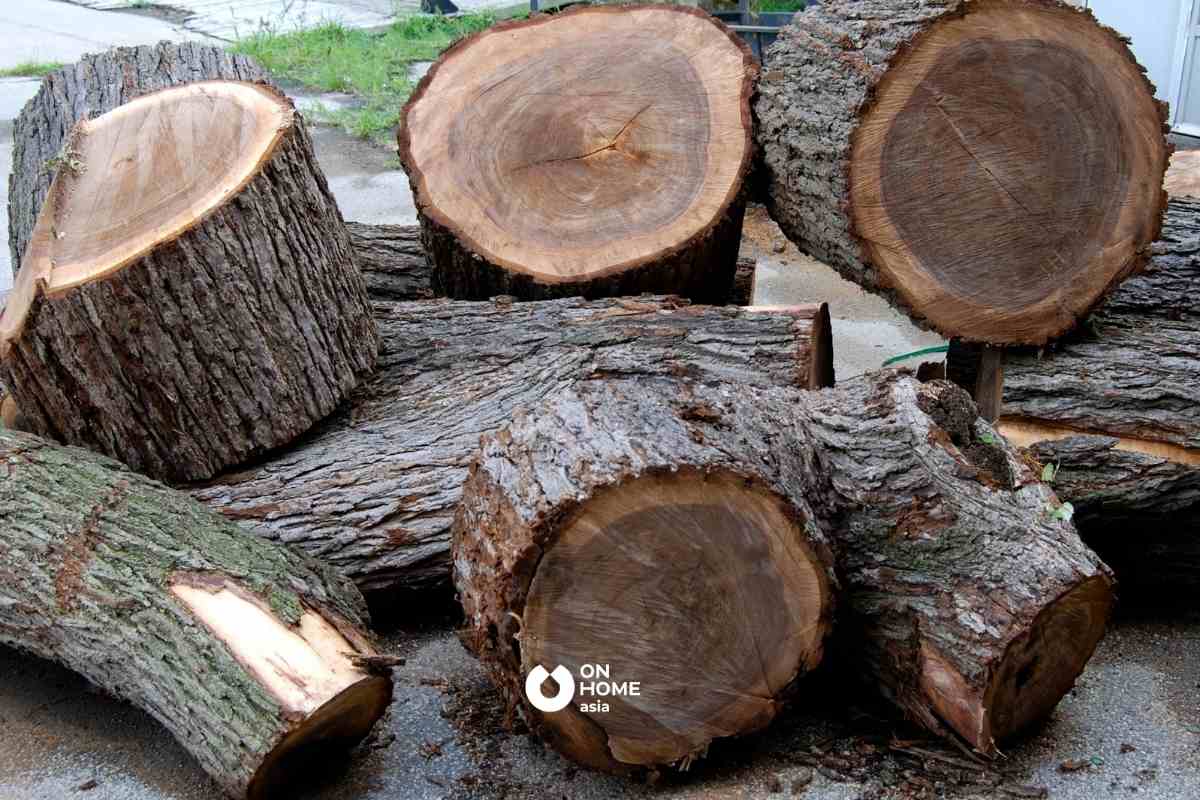 Gỗ Óc Chó là vật liệu nội thất sang trọng